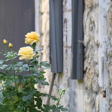 别墅 Les Bons Amis, Prive De 6 Hotes, Piscine, Riviere, Libourne, Saint-emilion