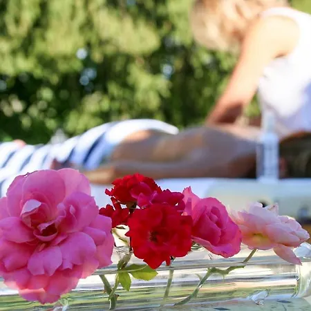 Les Bons Amis, Prive De 6 Hotes, Piscine, Riviere, Libourne, Saint-emilion