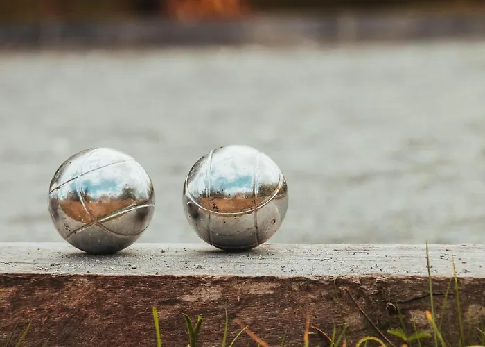 Les Bons Amis * Fronsac (Gironde)